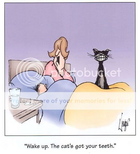 teeth.jpg