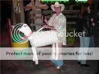 lamb.jpg