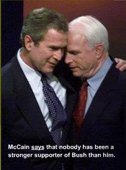 mccainbush.jpg