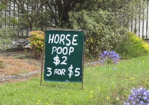 Horse20Poop20sm.jpg
