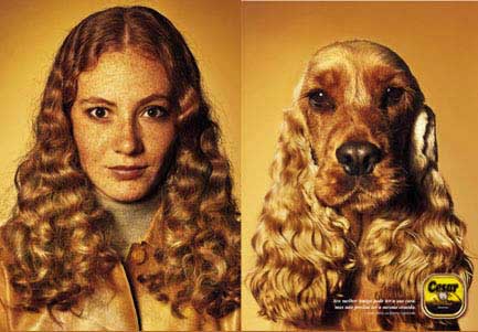 woman-with-dog-2962.jpeg