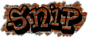 snip-logo.png