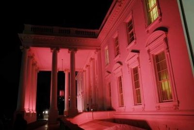 pink2-710880.jpg