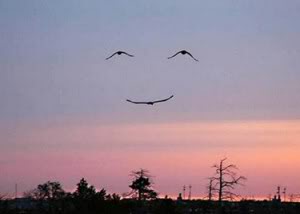 smile_sky.jpg
