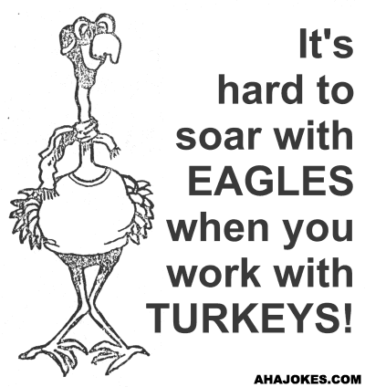 turkey.gif