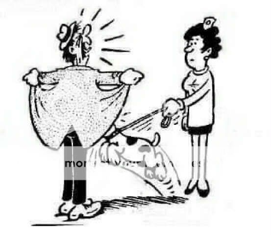 dog-attack-funny-cartoons-pics.jpg