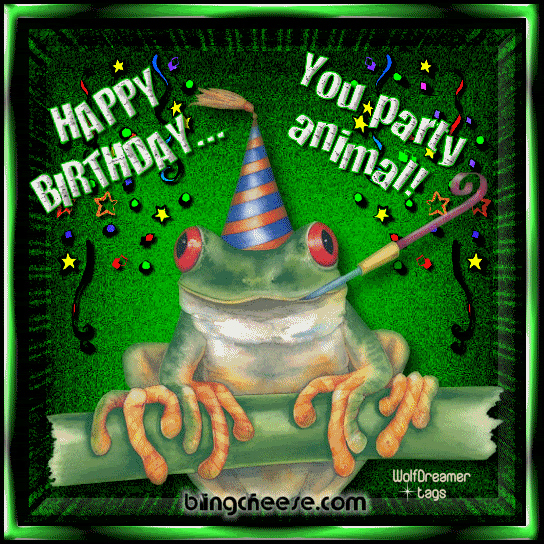 0_birthday_frog_party.gif