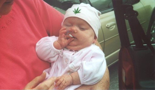 baby-smoking-pot1.jpg