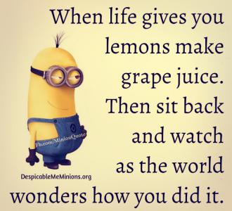 When-Life-Gives-You-Lemons.jpg.330.jpg