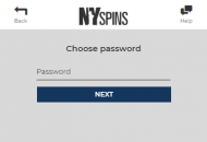 NYSpins Registration Form Step 2 Mobile Device View