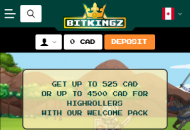 Bitkingz Promotions Mobile Device View 