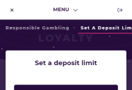Slotplanet Responsible Gambling Settings Mobile Device View