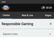 AllSlots Responsible Gambling Settings Mobile Device View