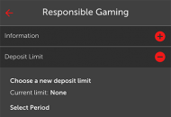 Betsafe Responsible Gambling Settings Mobile Device View 