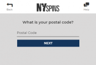 NYSpins Registration Form Step 9 Mobile Device View