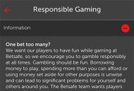 Betsafe Responsible Gambling Information Mobile Device View 