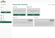 Bitkingz Responsible Gambling Settings Desktop Device View