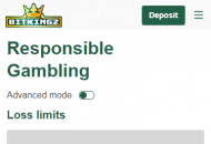 Bitkingz Responsible Gambling Settings Mobile Device View 