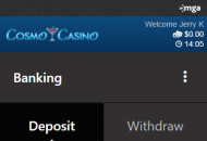 Cosmo Payment Methods Mobile Device View 