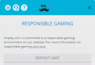 Mr.Play Responsible Gambling Settings Mobile Device View