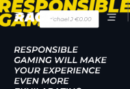 Race Responsible Gambling Information Mobile Device View