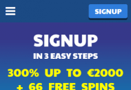 Ridika Registration Form Step 1 Mobile Device View
