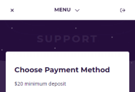 Slotplanet Payment Methods Mobile Device View