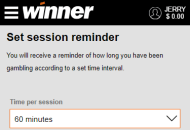 WinnerCasino Responsible Gambling Settings Mobile Device View