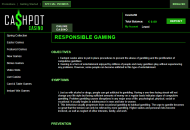 Cashpot Responsible Gambling Information Desktop Device View