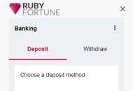 RubyFortune Payment Methods Mobile Device View