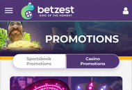 Betzest Promotions Mobile Device View 