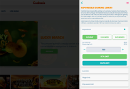 Cashmio Responsible Gambling Settings Desktop Device View