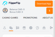 FlipperFlip Payment Methods Mobile Device View 