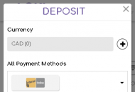 LokiCasino Payment Methods Mobile Device View 