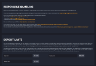 SlotsMillion Responsible Gambling Settings 3 Desktop Device View