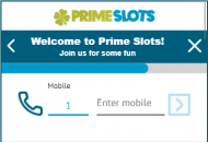 Primeslots Registration Form Step 11 Mobile Device View