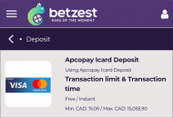 Betzest Payment Methods Mobile Device View 