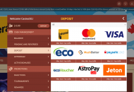 QueenVegas Payment Methods 2 Desktop Device View