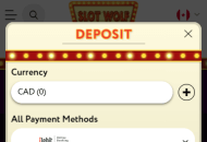 SlotWolf Payment Methods Mobile Device View
