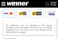 WinnerCasino Payment Methods Mobile Device View