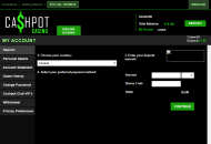 Cashpot Payment Methods Desktop Device View