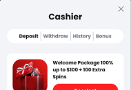 Shadowbet Payment Methods Mobile Device View