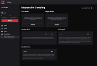 N1Casino Responsible Gambling Settings Desktop Device View