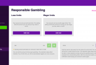 BaoCasino Responsible Gambling Settings Desktop Device View