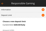 Betsson Responsible Gambling Settings Mobile Device View 