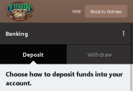 YukonGold Payment Methods Mobile Device View