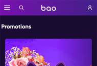 BaoCasino Promotions Mobile Device View