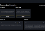 LadyHammer Responsible Gambling Settings Desktop Device View