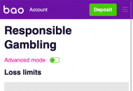 BaoCasino Responsible Gambling Settings Mobile Device View