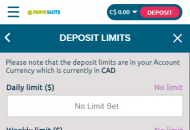 Primeslots Responsible Gambling Settings Mobile Device View